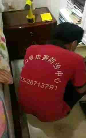 白蚁防治